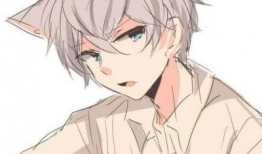 高冷男动漫,高冷动漫角色的魅力解析